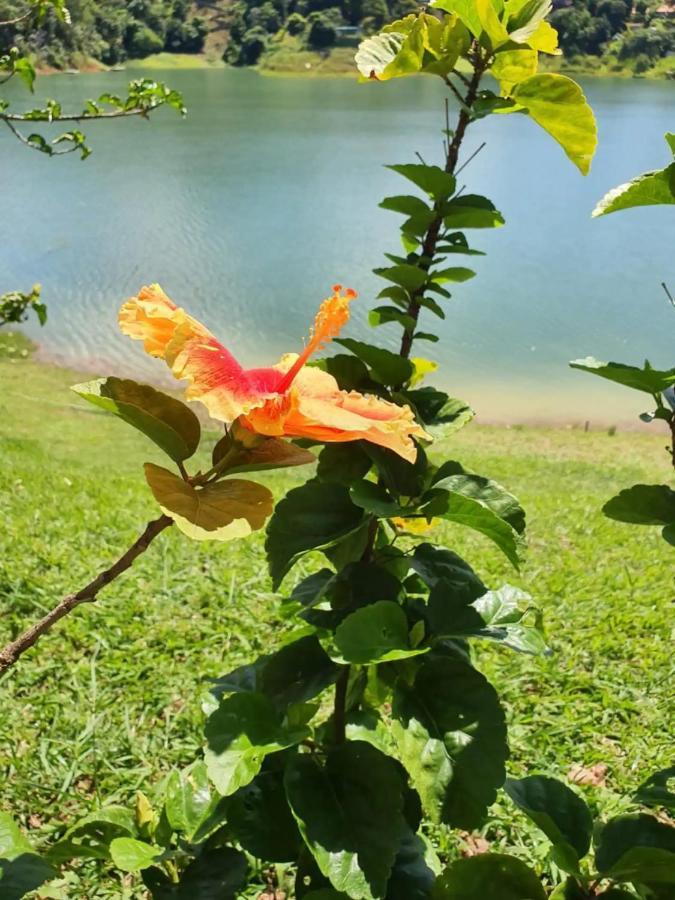 Igaratá Maravilhoso Sitio Na Beira Da Represa 빌라 외부 사진